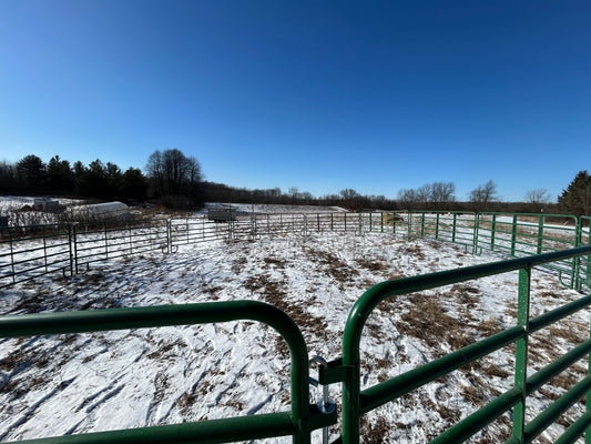 The Corral