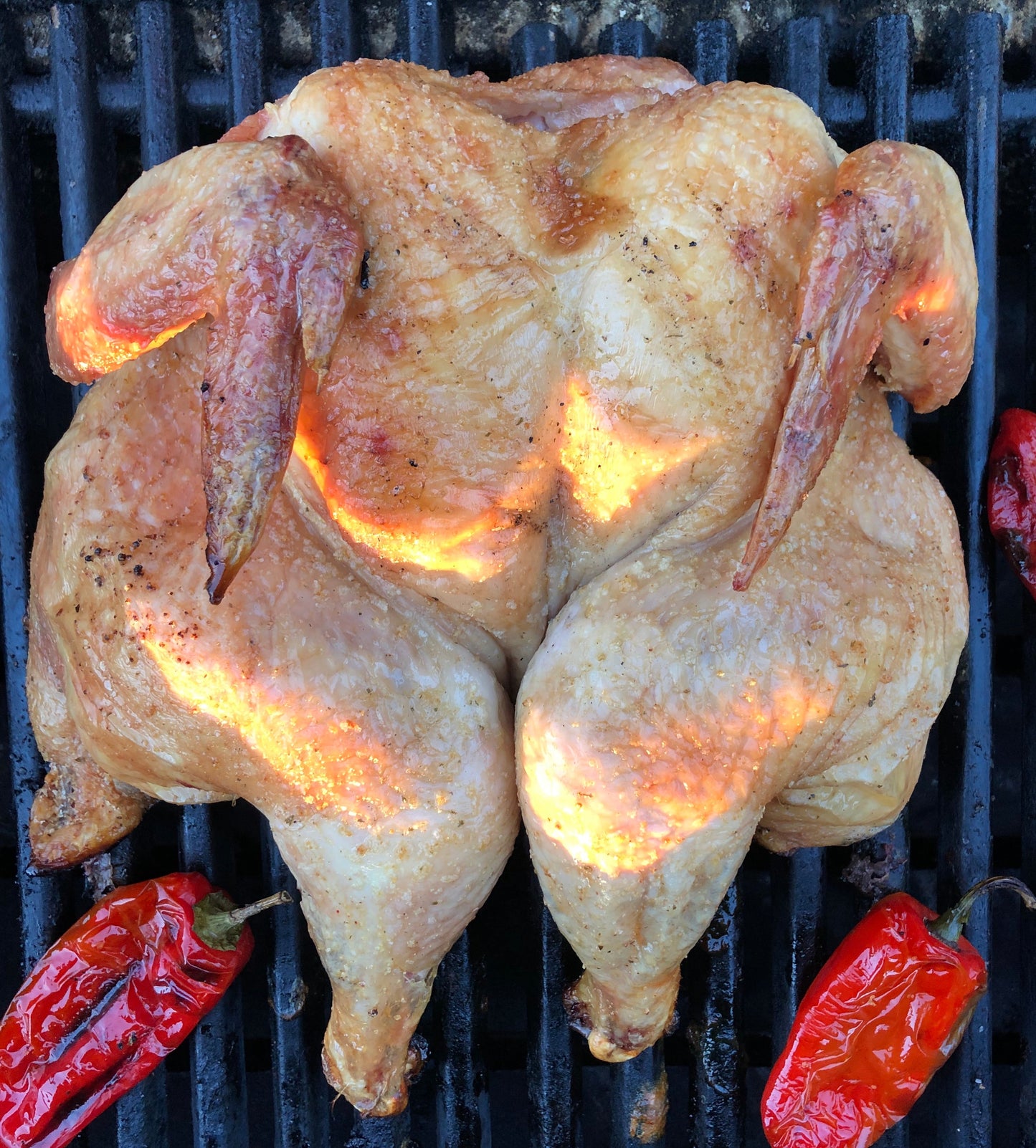 Pasture-Raised & Organic-Fed Whole Chicken (Missing Part)