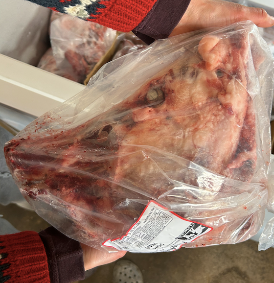 Pig Head
