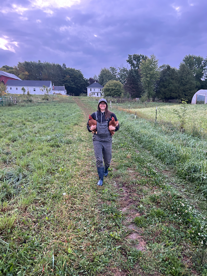 A Farmcraft Summer Summary