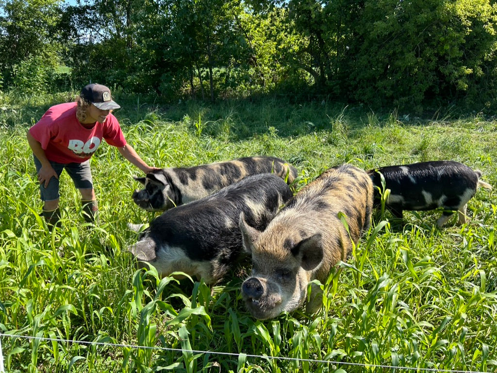 Pasture Raised & Organic Fed Pork - Whole and Halves