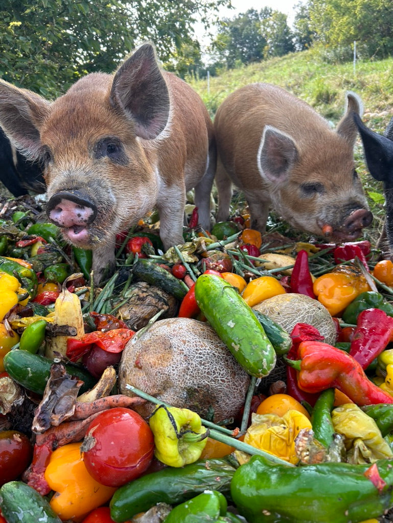 Pasture Raised & Organic Fed Pork - Whole and Halves