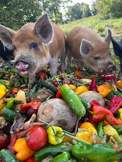 Pasture Raised & Organic Fed Pork - Whole and Halves