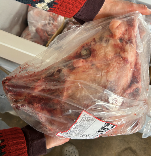 Pig Head